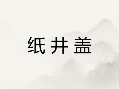 纸井盖 纸井盖