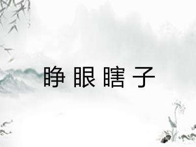 睁眼瞎子 睁眼瞎子