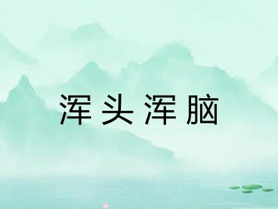 浑头浑脑