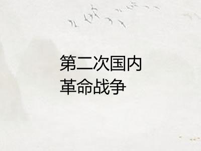 第二次国内革命战争 第二次国内革命战争