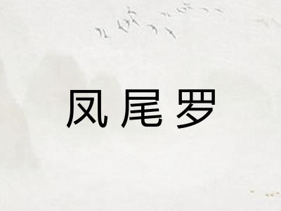 凤尾罗 凤尾罗