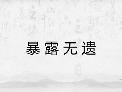 暴露无遗 暴露无遗