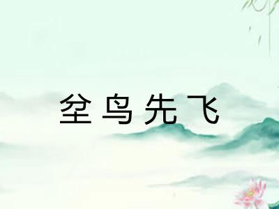 坌鸟先飞 坌鸟先飞