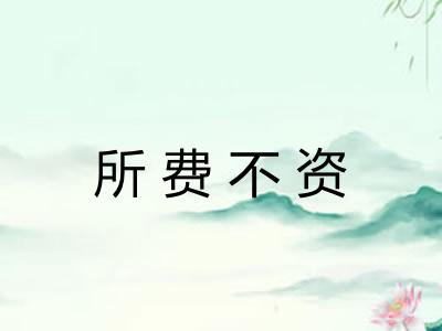 所费不资 所费不资
