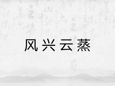 风兴云蒸 风兴云蒸
