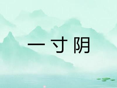 一寸阴 一寸阴
