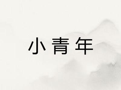 小青年