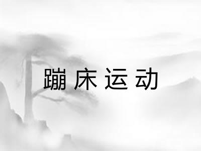 蹦床运动 蹦床运动