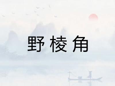 野棱角