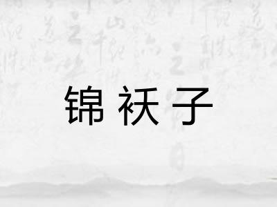 锦袄子 锦袄子