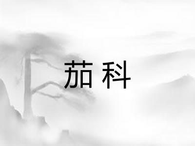 茄科 茄科