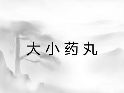 大小药丸 大小药丸