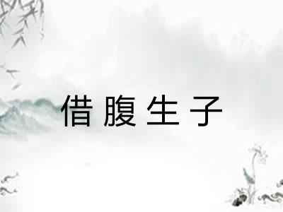 借腹生子 借腹生子