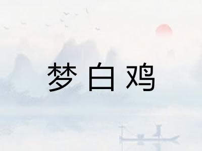 梦白鸡 梦白鸡