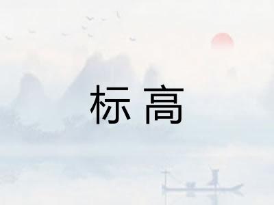 标高 标高