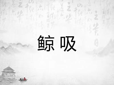 鲸吸