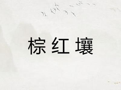 棕红壤 棕红壤