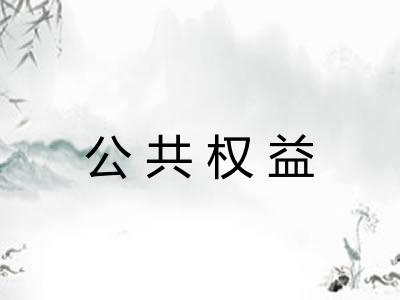 公共权益