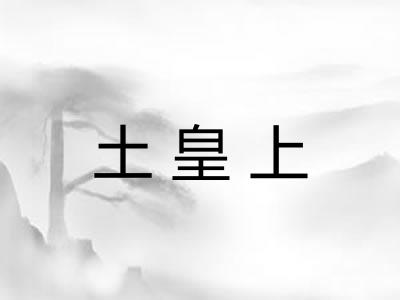 土皇上
