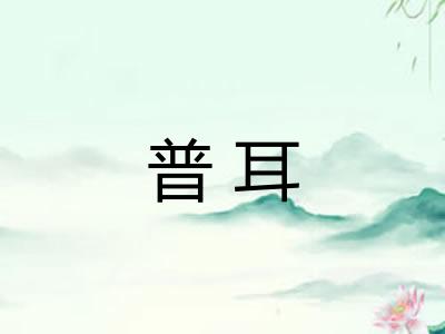 普耳