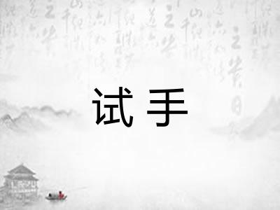 试手