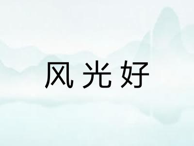 风光好