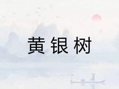 黄银树 黄银树