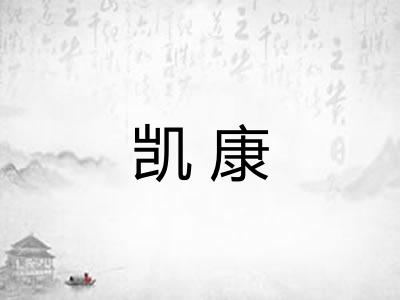 凯康