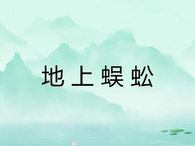 地上蜈蚣 地上蜈蚣