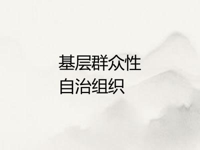 基层群众性自治组织 基层群众性自治组织