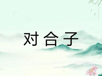 对合子