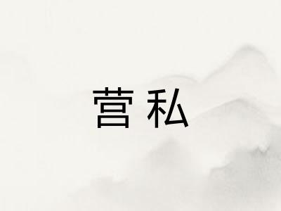营私 营私