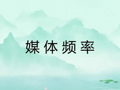 媒体频率 媒体频率