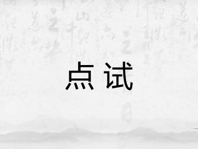 点试 点试