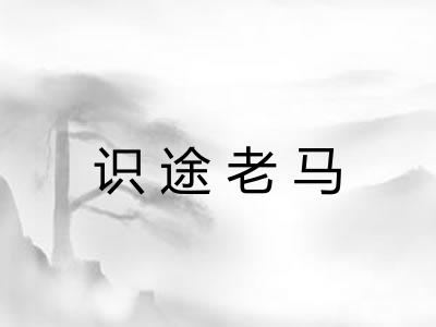 识途老马