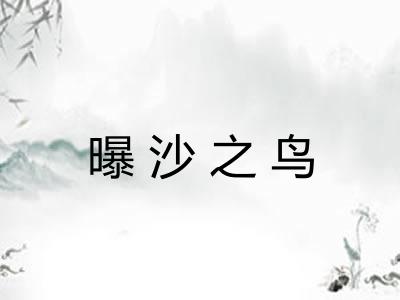 曝沙之鸟 曝沙之鸟