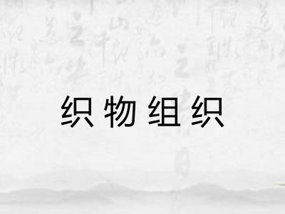 织物组织 织物组织