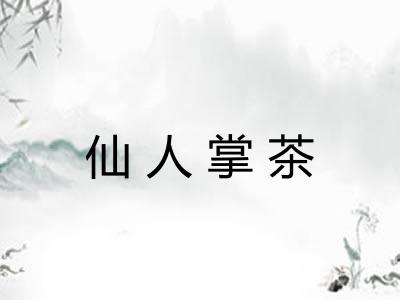 仙人掌茶 仙人掌茶