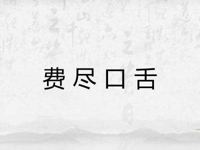 费尽口舌 费尽口舌