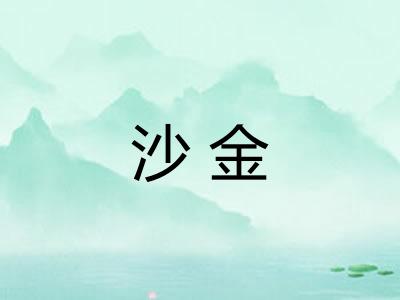 沙金 沙金