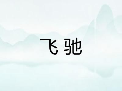 飞驰 飞驰