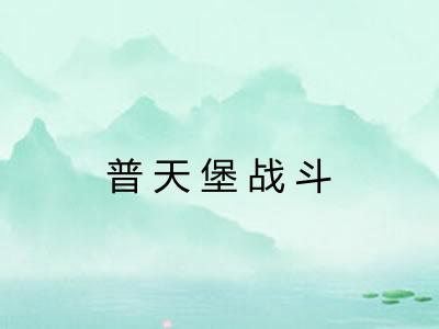 普天堡战斗 普天堡战斗