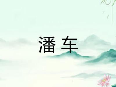 潘车 潘车