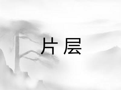 片层