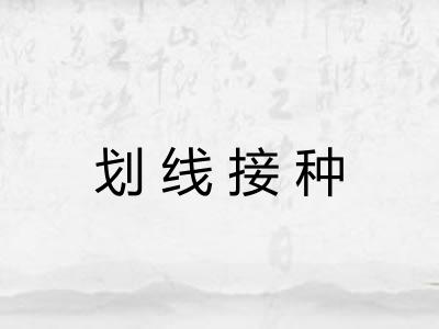 划线接种 划线接种