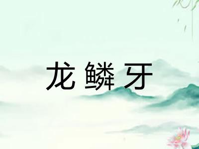 龙鳞牙 龙鳞牙
