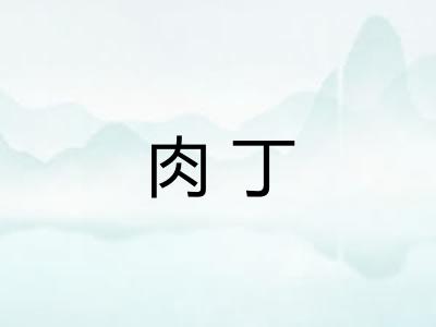 肉丁 肉丁