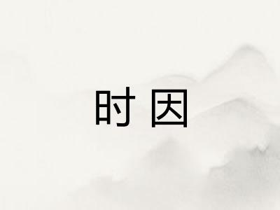 时因