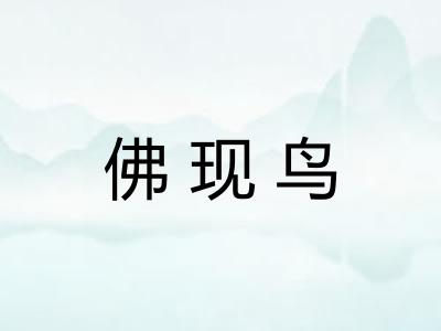 佛现鸟 佛现鸟