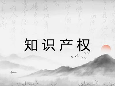 知识产权 知识产权